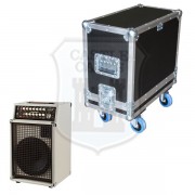 SWR California Blonde II Flightcase